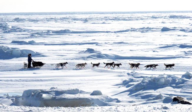 FILE - In this March 13, 2013 file photo, Musher Michelle Phillips of Tagish, Yukon Territory, Canada, makes the final push in the Iditarod, on the Bering Sea  for the finish line outside Nome, Alaska. Warm weather during much of the winter across Alaska nearly prompted officials at the Iditarod Trail Sled Dog Race to move the start to Fairbanks for the first time in a decade. But temperatures have dropped, and the 42nd running of the race across Alaska will start just as normal this weekend in Anchorage. (AP Photo/Mark Thiessen, File)