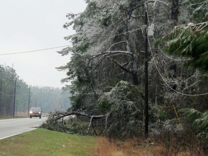 In this photo taken on Thursday, Feb. 13, 2014, trees heavy with ice snarl power lines outside of Jamestown, S.C., following the worst winter storm to hit South Carolina in a decade. A state emergency official said Friday, Feb. 28, 2014 that, while figures are still being compiled, damage from the storm will likely qualify sections of the state for designation as a federal disaster area - the first such designation in almost 10 years. (AP Photo/Bruce Smith)
