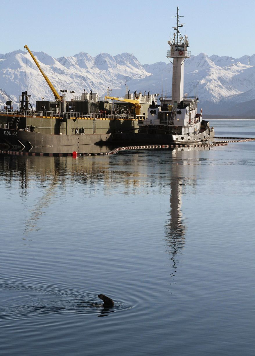 This photo taken Thursday, Feb. 27, 2014, in Valdez, Alaska, shows a sea otter in the bay near the ferry dock. The U.S. Geological Survey report released Friday, Feb. 28, 2014, concludes sea otters in Alaska's Prince William Sound have recovered to levels seen before the Exxon Valdez oil spill nearly 25 years ago. (AP Photo/Mark Thiessen)