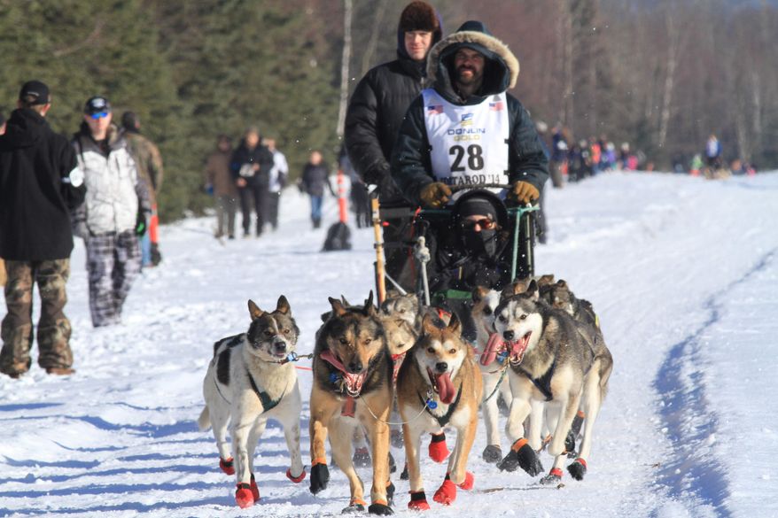 Cim Smyth of Big Lake, Alaska, drives his dog team along the Campbell Creek Airstrip during the ceremonial start of the 2014 Iditarod Trail Sled Dog Race on Saturday, March 1, 2014, in Anchorage, Alaska. (AP Photo/Dan Joling))