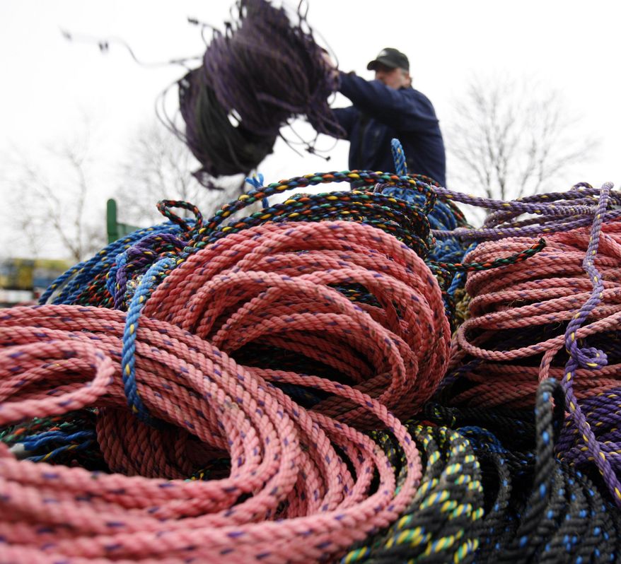 FILE - In this March 27, 2009 file photo, a lobsterman throws additional fishing rope onto a pile in Rockland, Maine. Researcher Scott Kraus said at the annual Maine Fishermen's Forum in February 2014 in Rockland, that preventing endangered North Atlantic right whales from becoming entangled in lobster gear could be as simple as changing the color of the rope. (AP Photo/Pat Wellenbach, File)