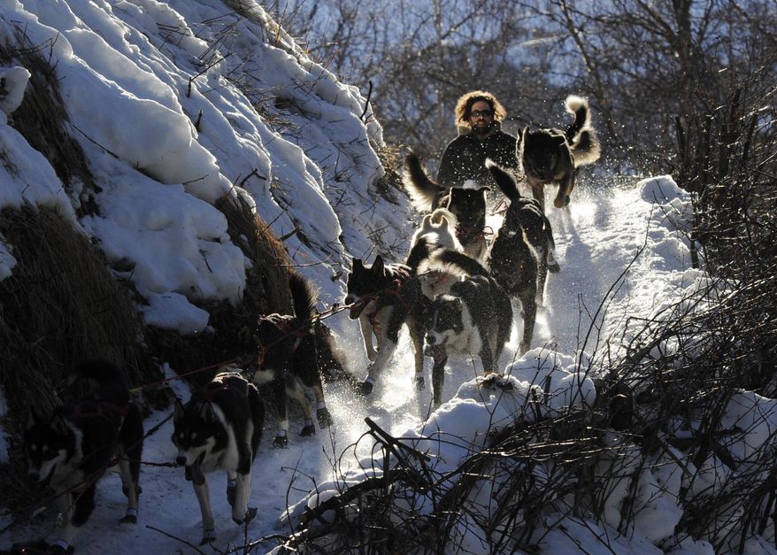 In this March 3, 2014 photo, Rick Casillo comes over the last drop as he comes down the steps onto the Happy River between the Finger Lake and Rainy Pass checkpoints heading to Puntilla Lake, Alaska, during the 2014 Iditarod Trail Sled Dog Race. (AP Photo/The Anchorage Daily News, Bob Hallinen)