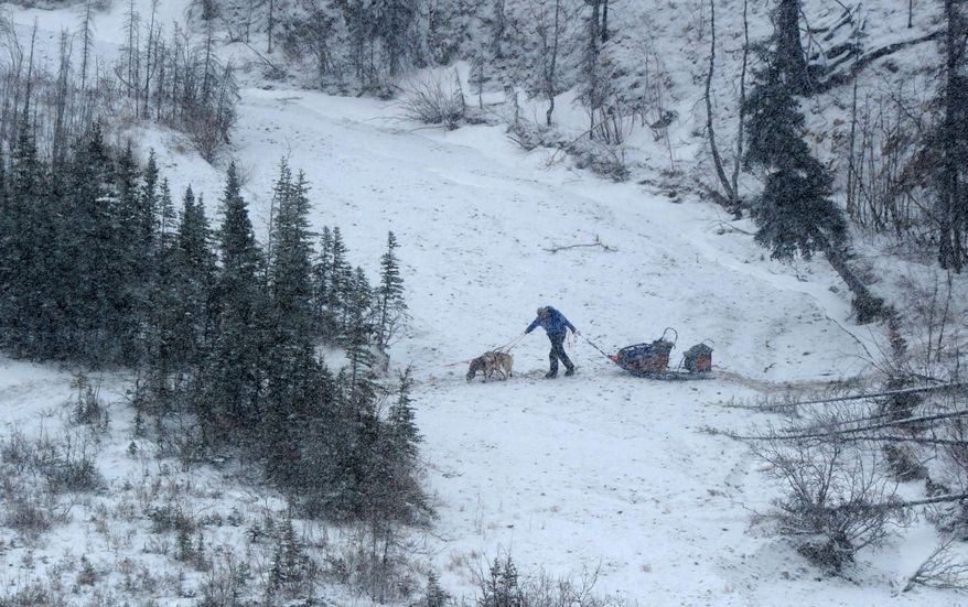 A musher and two dogs pull the sled across a small stream in the middle of the Farewell Burn during the Iditarod Trail Sled Dog Race on Tuesday, March 4, 2014. The rest of his team waited along the trail less then a mile ahead of him. (AP Photo/The Anchorage Daily News, Bob Hallinen)
