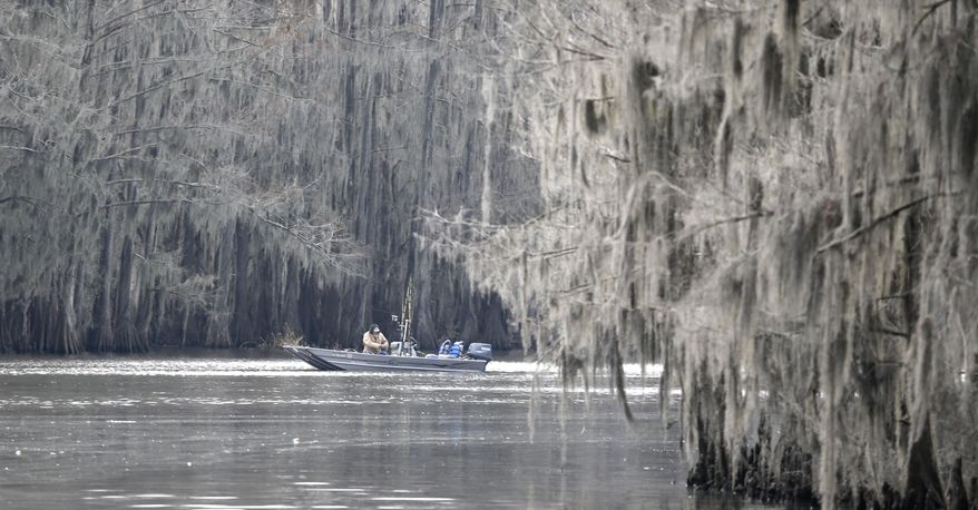 In this photo made Wednesday, Feb. 26, 2014, a fisherman works Caddo Lake near Uncertain, Texas. Scientists and researchers from a half-dozen state, federal and private agencies are planning to release up to 50 paddlefish into this Texas lake they once called home. (AP Photo/LM Otero)