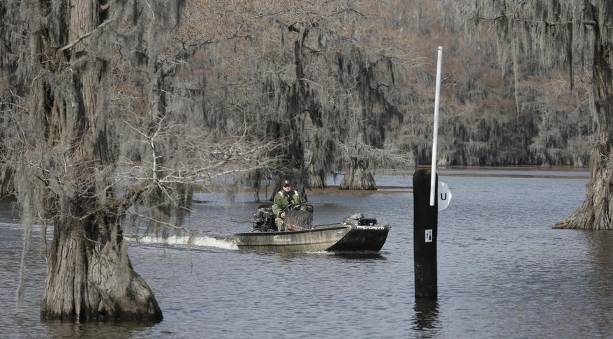 In this photo made Wednesday, Feb. 26, 2014, U.S. Fish and Wildlife officer Jason Roesner pilots a boat on Caddo Lake near Uncertain, Texas. Scientists and researchers from a half-dozen state, federal and private agencies are planning to release up to 50 paddlefish into this Texas lake they once called home. (AP Photo/LM Otero)