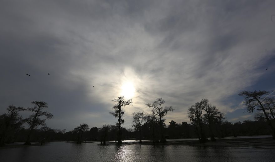 In this photo made Wednesday, Feb. 26, 2014, Lake Caddo is shown near Uncertain, Texas. Scientists and researchers from a half-dozen state, federal and private agencies are planning to release up to 50 paddlefish into this Texas lake they once called home. (AP Photo/LM Otero)