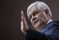 Conservatives Gingrich.JPEG-0dfa3.jpg