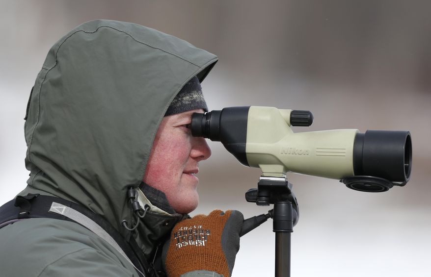 Birding enthusiast Ron Payne of Middlebury, Vt., uses a scope to watch ducks on Lake Champlain on Wednesday, March 5, 2014, in Essex, N.Y. Lake Champlain is frozen solid, except for two stretches of open water where two ferries carry passengers between Vermont and New York. The only open water within miles is attracting thousands of ducks and bald eagles looking to eat the ducks. It is had the side benefit of attracting birders from far away looking to spot rare duck species. (AP Photo/Mike Groll)