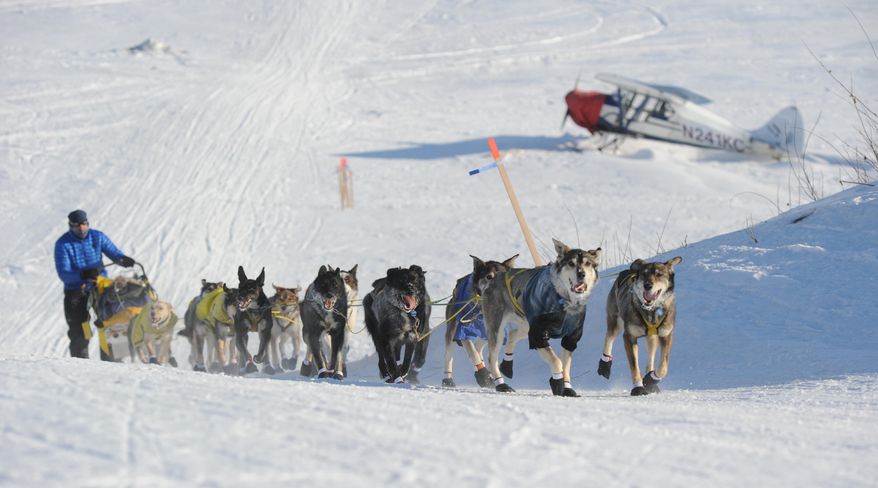 Hans Gatt drives his team off the Yukon River into the village of Kaltag during the 2014 Iditarod Trail Sled Dog Race on Saturday, March 8, 2014. (AP Photo/The Anchorage Daily News, Bob Hallinen)