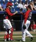 Yankees Nationals Spring Baseball.JPEG-04c6c.jpg