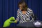 Michelle Obama Muppets.JPEG-07251.jpg