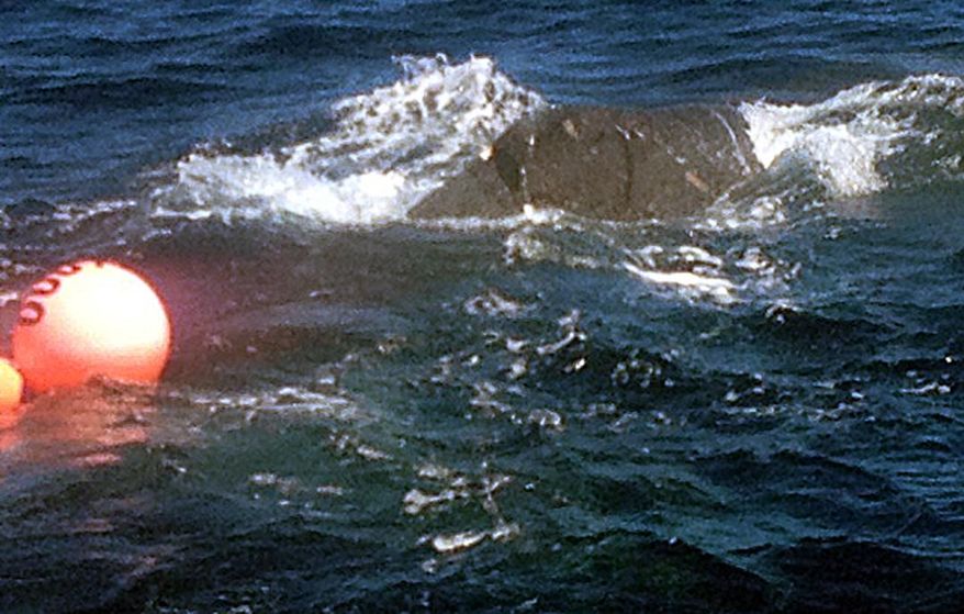 In this photo provided by Holoholo Charters, a humpback whale is seen entangled in fishing gear Tuesday, March 11, 2014, in the waters off Niihau, Hawaii. Officials are looking for the animal which was most recently spotted off Niihau, Hawaii's smallest inhabited island. Ed Lyman of the Hawaiian Islands Humpback Whale National Marine Sanctuary said Thursday, March 13, 2014, that fishing line seems to be wrapped across the whale's body and tail. He says about 50 to 60 feet of heavy gauge line appears to be trailing behind the animal, along with two red plastic buoys caught in the line. (AP Photo/Courtesy Holoholo Charters)