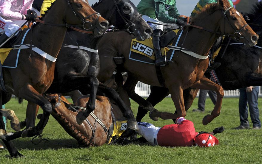 Abbyssial and jockey Ruby Walsh fall during the JCB Triumph Hurdle Race during Cheltenham Gold Cup Day at Cheltenham Racecourse, England, Friday March 14, 2014. (AP Photo/PA, Tim Ireland) UNITED KINGDOM OUT: NO SALES: NO ARCHIVE