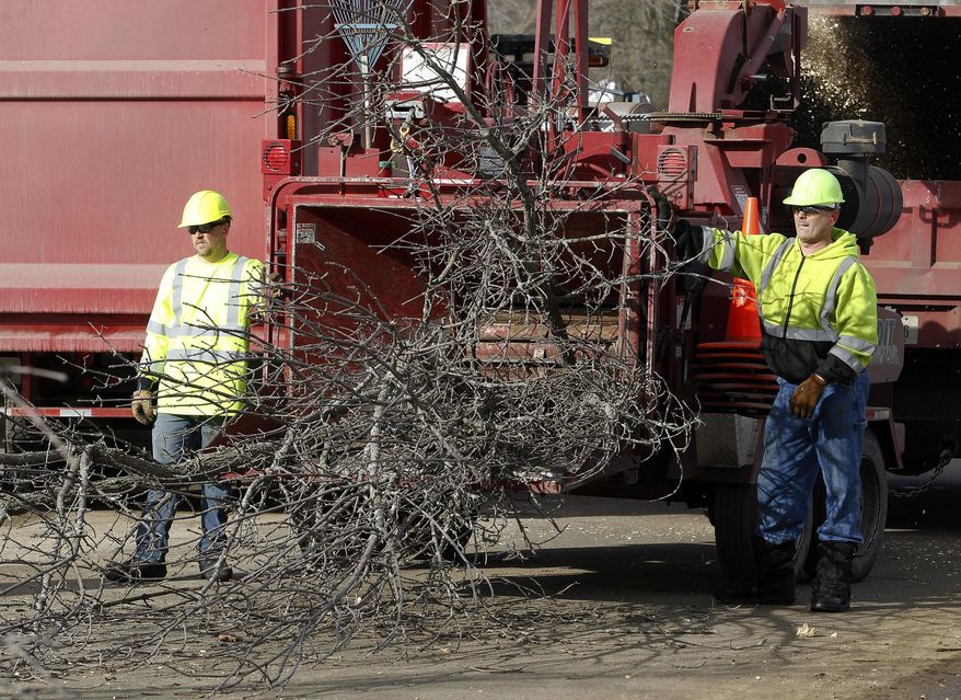 Glen Bearbower and Lawrence Harms run ash tree branches through a wood chipper on Willow Street in Waterloo, Iowa, Monday, March 10, 2014. The invasive Asian beetle, which is fatal to ash trees, was found in Waterloo in late January. EAB already has devastated urban forests across the Midwest since first rearing its head domestically a dozen years ago in Michigan. (AP Photo/Waterloo Courier, Brandon Pollock)