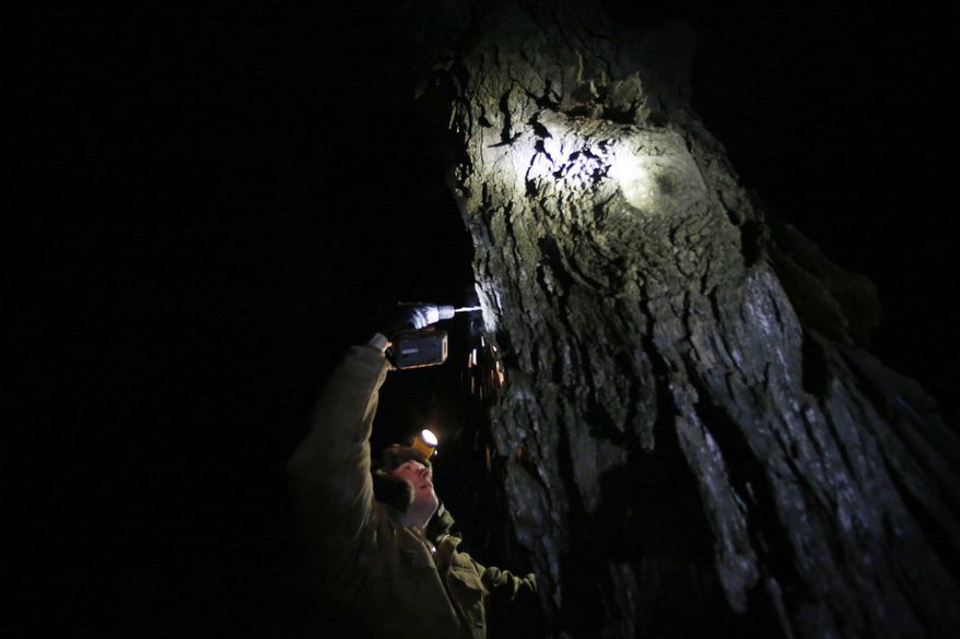 In this March 9, 2014 photo, Turtle Lane Maple farmer Paul Boulanger taps a maple tree by headlamp Sunday evening in North Andover, Mass. Maple syrup season is finally under way in Massachusetts after getting off to a slow start because of unusually cold weather. (AP Photo/Elise Amendola)