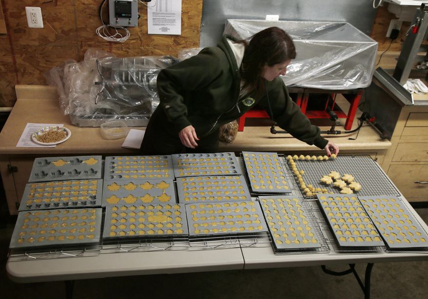 In this March 14, 2014 photo, Kathy Gallagher sets out maple sugar candy to dry at the Turtle Lane Maple sugar house in North Andover, Mass. Maple syrup season is finally under way in Massachusetts after getting off to a slow start because of unusually cold weather. (AP Photo/Elise Amendola)
