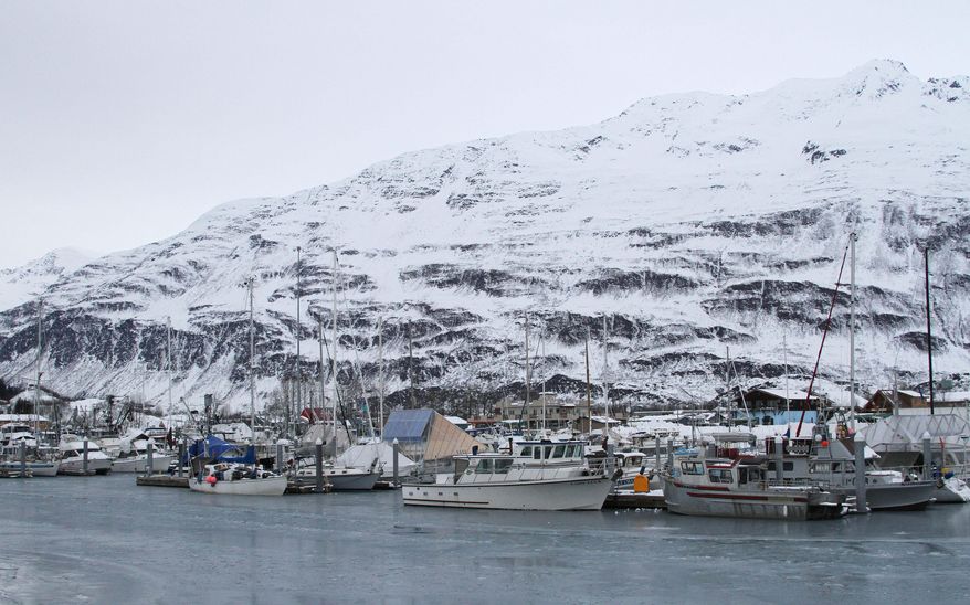 In this photo taken Feb. 26, 2014, are vessels in the small boat harbor in Valdez, Alaska. When the Exxon Valdez ran aground in March 1989, spilling nearly 11 million gallons of crude in Prince William Sound, many fisheries were hurt by the disaster and many fishermen lost boats or homes. (AP Photo/Mark Thiessen)
