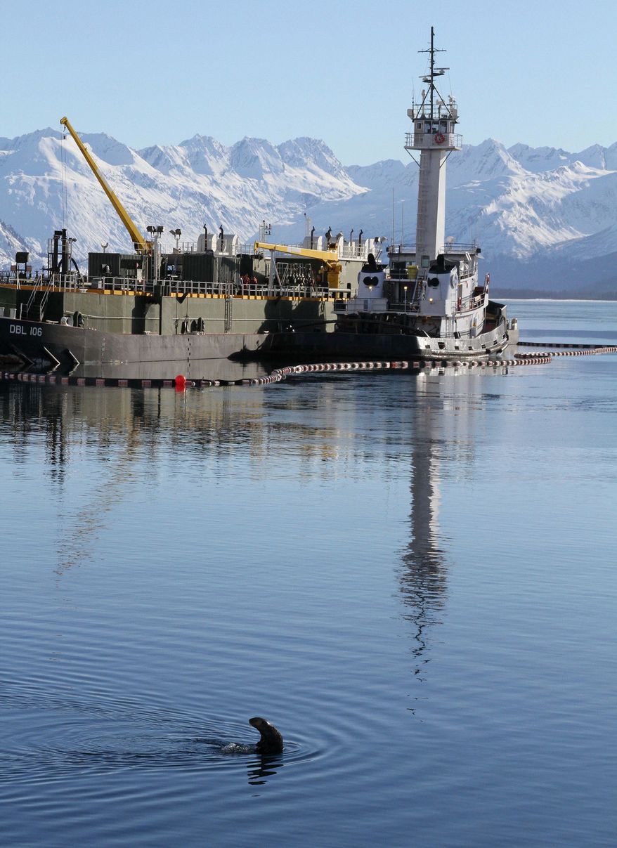 In this photo taken Thursday, Feb. 27, 2014, a sea otter swims in the bay near the ferry dock in Valdez, Alaska. The U.S. Geological Survey report released Friday, Feb. 28, 2014, concludes sea otters in Alaska's Prince William Sound have recovered to levels seen before the Exxon Valdez oil spill nearly 25 years ago. (AP Photo/Mark Thiessen)