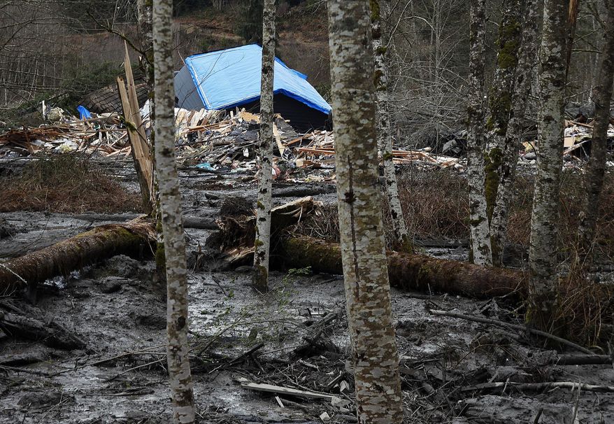 A fatal mudslide brought debris down the Stillaguamish River near Oso, Wash., Saturday, March 22, 2014, stopping the flow of the river and destroying several homes. (AP Photo/The Herald, Genna Martin)