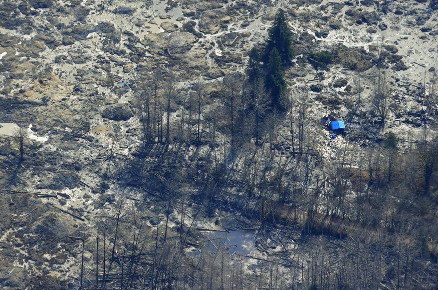 The blue-tarped roof of a house destroyed by the massive mudslide that killed at least eight people Saturday and left dozens missing is visible at right in this aerial photo, Monday, March 24, 2014, near Arlington, Wash. The search for survivors grew Monday, raising fears that the death toll could climb far beyond the eight confirmed fatalities. (AP Photo/Ted S. Warren)