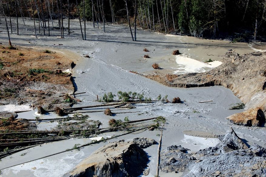 This March 23, 2014 photo, made available by the Washington State Dept of Transportation shows a view of the damage from Saturday's mudslide near Oso, Wash. At least eight people were killed in the 1-square-mile slide that hit in a rural area about 55 miles northeast of Seattle on Saturday. Several people also were critically injured, and about 30 homes were destroyed. (AP Photo/Washington State Dept of Transportation)