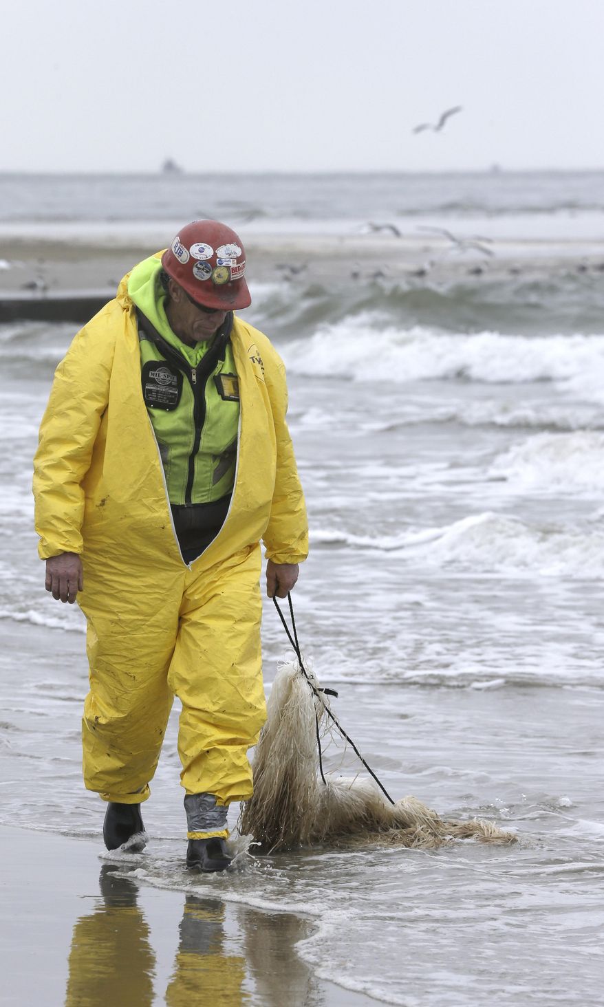 A worker drags viscous snare pom poms along the waters' edge on East Beach in Galveston, Texas, to snag oil, Monday, March 24, 2014. Thousands of gallons of tar-like oil spilled into the major U.S. shipping channel after a barge ran into a ship Saturday. (AP Photo/Pat Sullivan)