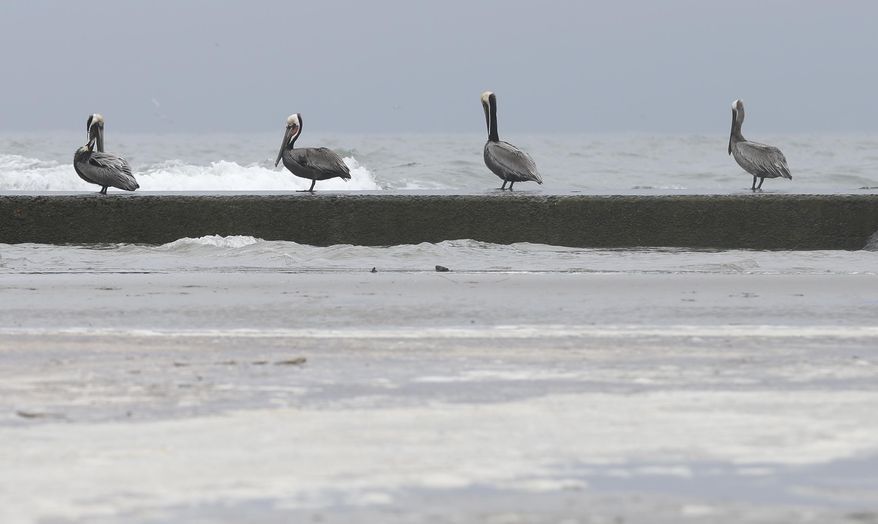 Oil sludge floats on the surface of the water as pelicans sit along the jetty nearby on East Beach in Galveston, Texas, Monday, March 24, 2014. Thousands of gallons of tar-like oil spilled into the major U.S. shipping channel after a barge ran into a ship Saturday. (AP Photo/Pat Sullivan)