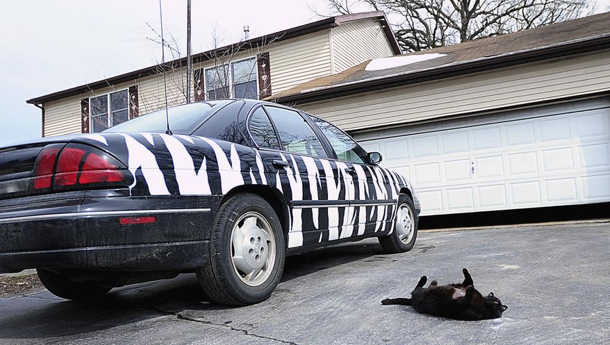In this March 11, 2014 photo, Miranda Munns' zebra-striped 1998 Chevrolet Lumina sits outside a mural clients' home in Somonauk, Ill. Munns, who graduated from Northern Illinois University in Spring 2012 with a Bachelor of Fine Arts in painting, said she is struggling to find an art-related job while working her full-time job at a gas station. (AP Photo/Daily Chronicle, Danielle Guerra) MANDATORY CREDIT