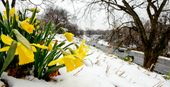 STANDALONE_20140325_001.JPG