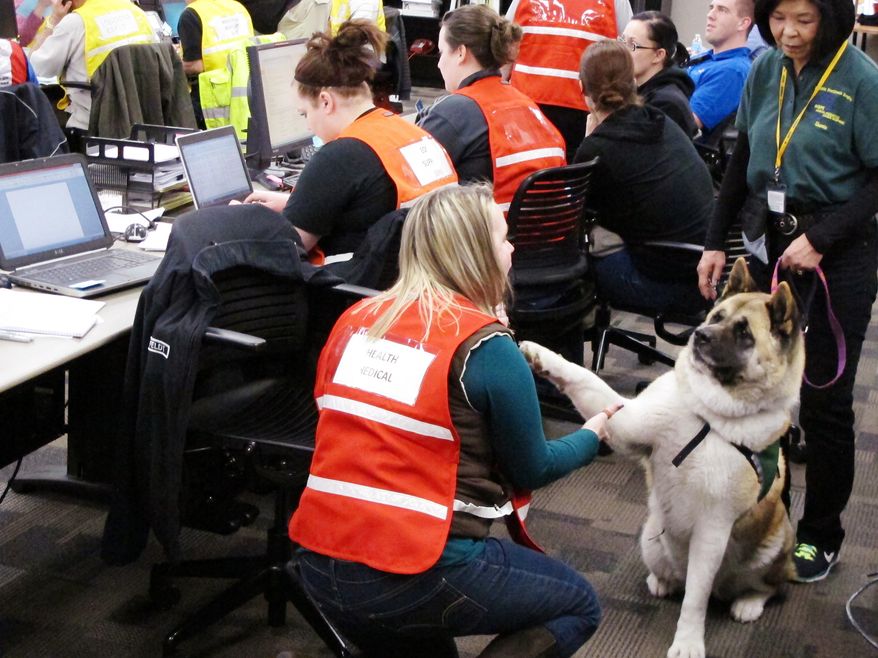 Comfort dog Sumi, an Akita, shakes a paw with a worker at the Snohomish County Emergency Operations Center Wednesday, March 26, 2014, in Everett, Wash. Authorities believe at least 24 people have been killed so far in the mudslide in nearby Oso, Wash., and scores of others are still unaccounted for. (AP Photo/Rachel La Corte)