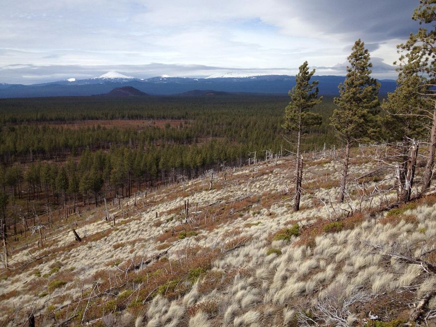 In this Saturday, March 8, 2014 photo, Mount Bachelor, Lava Butte and the rest of the Cascade Range are seen in the distance from the top of Luna Butte on Saturday, March 8, 2014, in Oregon. (AP Photo/The Bulletin, Andy Zeigert)