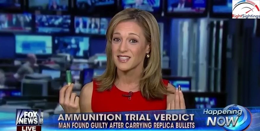 Emily Miller on Fox News. March 28, 2014.