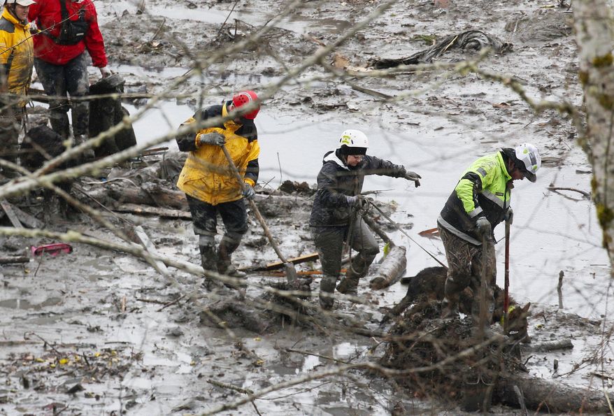 Search and rescue teams navigate the wet, muddy terrain at the west side of the mudslide on Highway 530 near mile marker 37 on Sunday, March 30, 2014, in Arlington, Wash. Periods of rain and wind have hampered efforts the past two days, with some rain showers continuing today. (AP Photo/Rick Wilking, Pool)