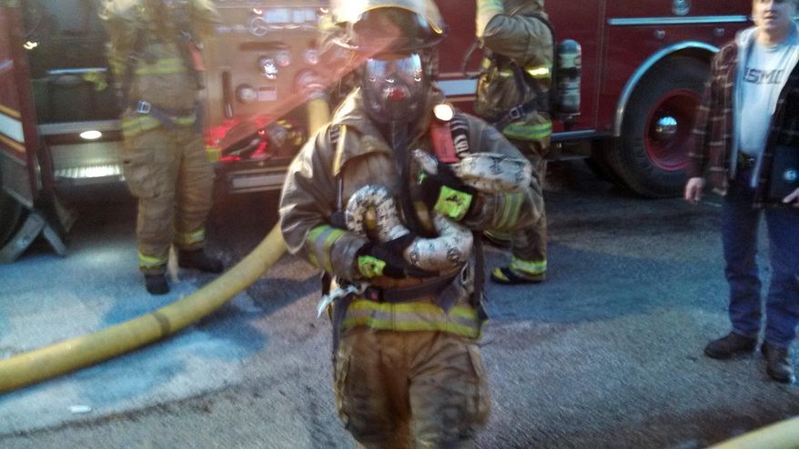 This photo provided by Gordon Cole, firefighter Scott Hemmelsbach holds a python after rescuing it from a burning home in Muskegon, Mich., on Sunday, March 30, 2014. Hemmelsbach said that he reluctantly agreed to enter the two-story, smoke-filled house Sunday night to retrieve the snake. He says he cradled the "weighty" snake before carrying it to safety.(AP Photo/Courtesy of Gordon Cole)