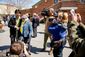 BOWSER_20140331_015.JPG