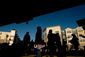 GRAY_20140331_031.JPG