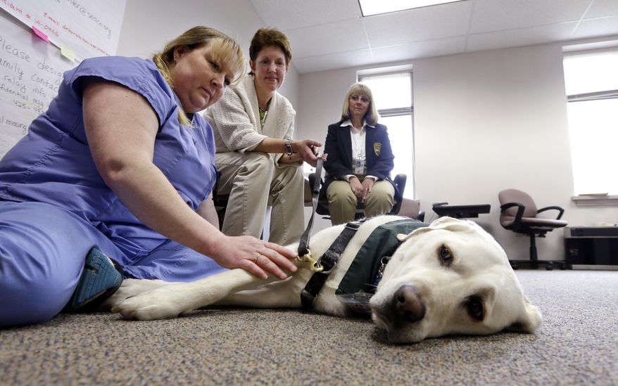 Medical investigator Deb Hollis, left, pets therapy dog Paddy on a break as handler Christi Dudzik, center, looks on with Jennie Thommen at the Snohomish County Medical Examiner's office, Wednesday, April 2, 2014, in Everett, Wash. The office is processing the remains of victims from the March 22 mudslide in nearby Oso, Wash., that has killed at least 29. Another 13 people are unaccounted for.(AP Photo/Elaine Thompson)