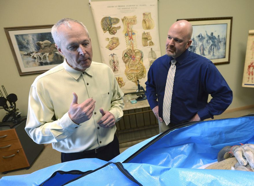 In this April 1, 2014 photo, Dr. Tom Pliura, left, head of the McLean County Medical Society, which is sponsoring a cadaver dissection lab for high school students to give young people a head-start on future medical careers, is seen in his LeRoy, Ill., office with Gary R. Tipsord, superintendent for the LeRoy Community Unit School District with a cadaver. Pliura hopes to begin after-school dissection labs on April 10. (AP Photo/The Pantagraph, Steve Smedley)