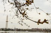 STANDALONE_20140403_009.JPG