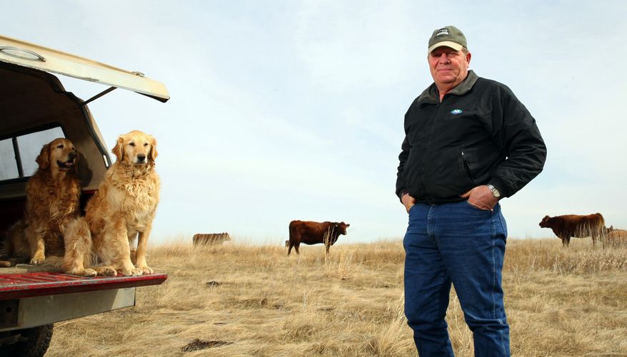 In this March 25, 2014 photo Jim Faulstich stands in a field of native Big Bluestem grass with two of his dogs, Moe and Buck, at Daybreak Ranch near Highmore, SD. When the farm economy went sour in the 1980s, Faulstich realized he wasn’t operating in tune with nature and needed to change his ways to survive. He credits federal and state conservation programs for helping to make his transformation feasible, plus initiatives by wildlife habitat groups. He said the incentives in the new farm bill should help other farmers put a greater emphasis on sustainability, too, rather than focusing only on crops that are the most profitable thanks to crop insurance and commodity programs. (AP Photo/Eric Landwehr)