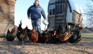 In this photo taken on February 2014, Perry Jones, executive director and social entrepreneur for Heifer International&#39;s domestic Seeds of Change program, feeds animals at his home in Charleston, Ark. After 12 years in Latin America and three years in the United States working with Heifer International to support small farmers, Jones has returned to his roots to do the same thing in Arkansas. (AP Photo/The Southwest Times Record, John Lovett)