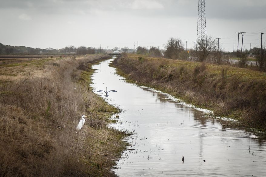 A near empty irrigation canal that provided water to the Savage's rice fields now, Wednesday, March 19, 2014, in Bay City. The Savages and other farmers are being forced to downsize their farming operation and change crops, from rice to dry land corn, due to a lack of irrigation water for the third consecutive year from the Colorado River. (AP Photo/Houston Chronicle, Michael Paulsen)