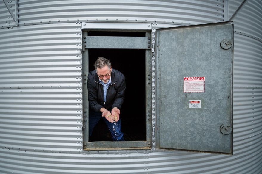 Joe Crane holds the last remains of rice within a storage bin at BU Growers Seed Rice, Wednesday, March 19, 2014, in Bay City. Matagorda County farmers are being forced to downsize their farming operation and change crops, from rice to dry land corn, due to a lack of irrigation water for the third consecutive year from the Colorado River.(AP Photo/Houston Chronicle, Michael Paulsen)