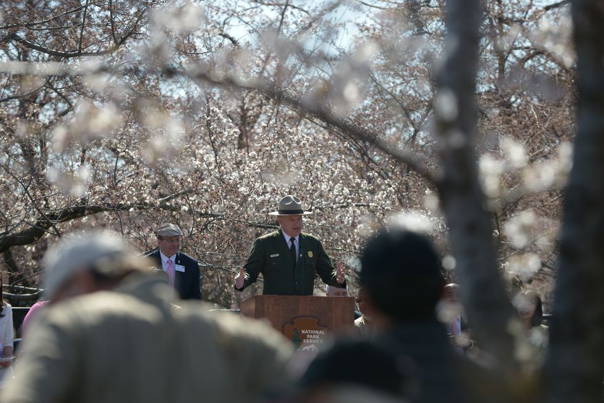 National Mall and Memorial Parks Superintendent Robert Vogel, center, offered remarks, with a backdrop of Cherry Blossoms in bloom, during the Japanese Stone Lantern lighting ceremony at the Tidal Basin in Northwest on Sunday, April 6. Although some of the Cherry Blossom are blooming the trees are in the Peduncle Elongation Stage the National Park Service is predicting peak bloom around April 8-12. Khalid Naji-Allah /Special to The Washington Times