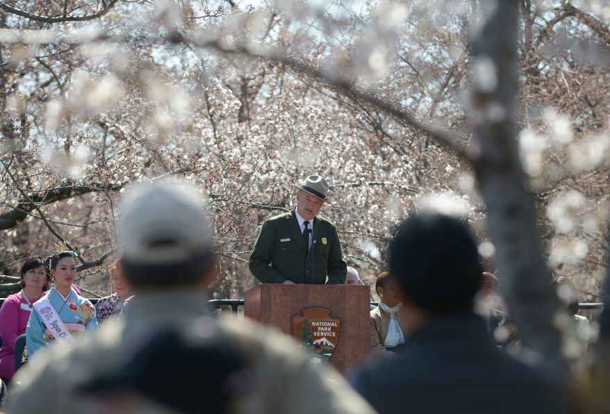 National Mall and Memorial Parks Superintendent Robert Vogel, center, offered remarks, with a backdrop of Cherry Blossoms in bloom, during the Japanese Stone Lantern lighting ceremony at the Tidal Basin in Northwest on Sunday, April 6. Although some of the Cherry Blossom are blooming the trees are in the Peduncle Elongation Stage the National Park Service is predicting peak bloom around April 8-12. Khalid Naji-Allah /Special to The Washington Times