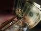 2_pot_mugshot_four_by_three.jpg