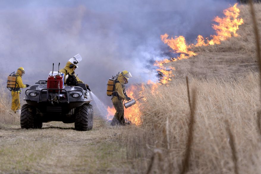 In this Tuesday, April 8, 2014, David Borneman, center, and his fire crew light a controlled burn at the Davis-Foster Land Preserve in Meridian Township, Mich. The burn is expected to help improve habitat for the Henslow's sparrow. The Lansing State Journal reports the bird and many other types of wildlife use prairie habitat at the Davis-Foster Land Preserve. The sparrow is listed as endangered in Michigan. (AP Photo/The State Journal, Rod Sanford) NO SALES