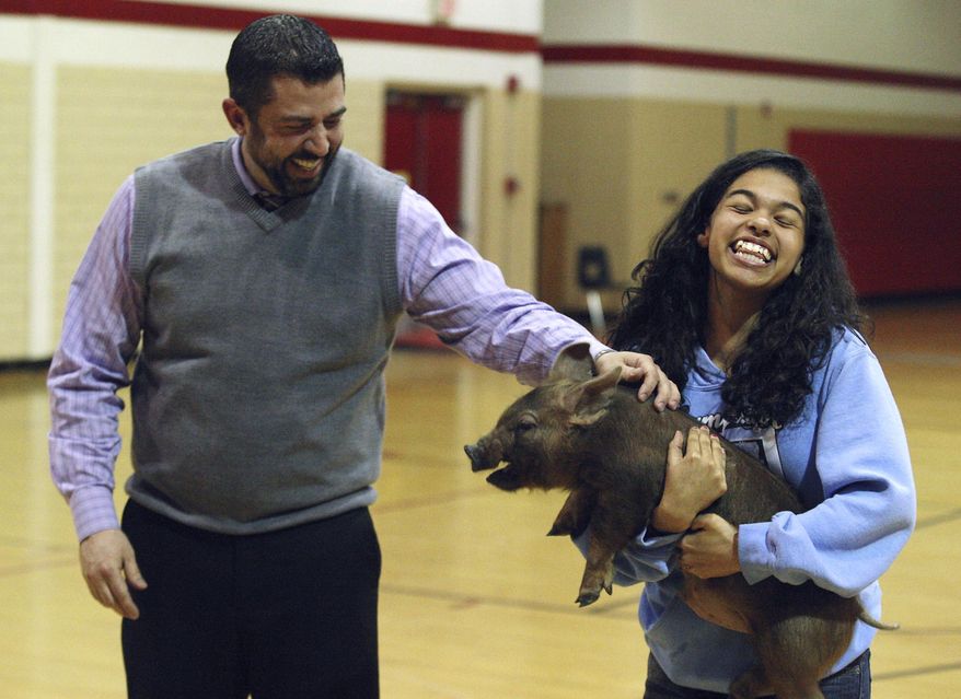 ADVANCE FOR USE SATURDAY, APRIL 12 AND THEREAFTER - In this March 25, 2014, photo, eighth-grader Lauryn Layette clings to a squirming pig as principal Nate Sheppard prepares to kiss it during an assembly at Thomas Jefferson Middle School in Decatur, Ill. Thomas Jefferson students who were on time every day of ISAT testing were rewarded by getting to watch their principal pucker up to the pig. (AP Photo/Herald &amp;amp; Review, Jim Bowling)