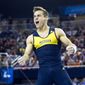 Michigan’s Sam Mikulak reacts after finishing the pommel horse event at the NCAA men&#39;s gymnastics championships in Ann Arbor, Mich., Friday, April 11, 2014. (AP Photo/Tony Ding)