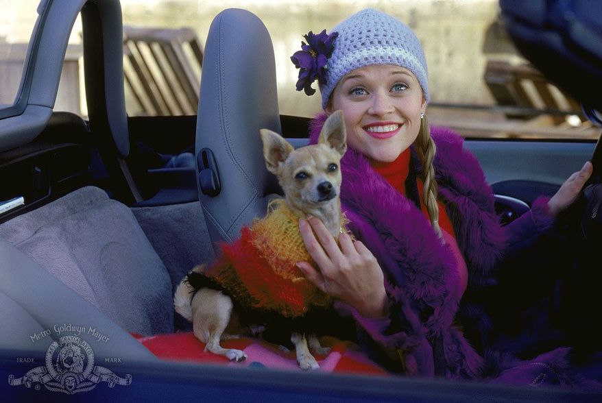 Actress Reese Witherspoon and her pet pooch in the movie "Legally Blonde."